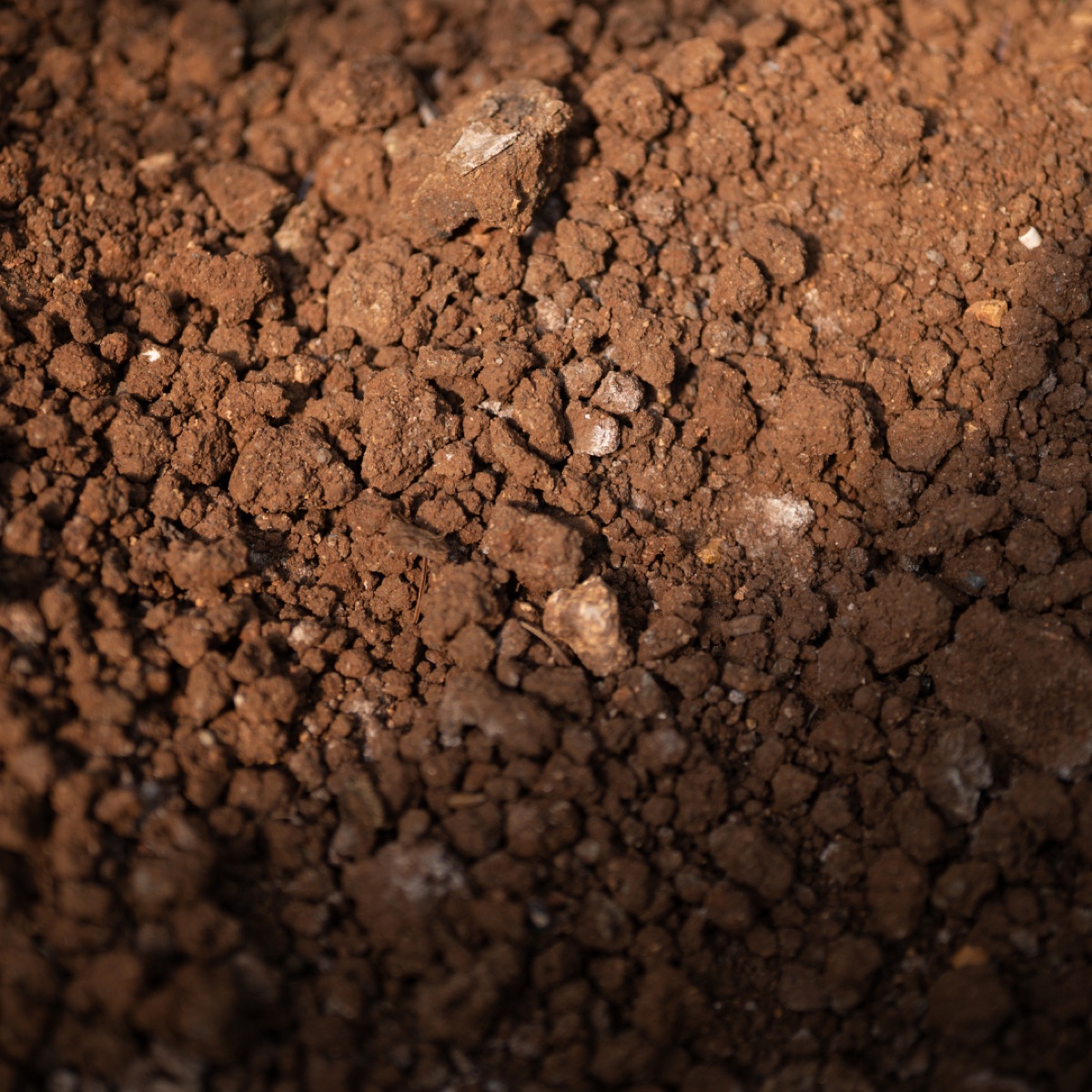 Premium topsoil